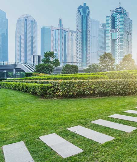 Contact Bama's Landscaping LLC for Commercial Landscaping Services