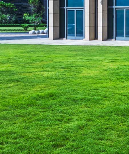 Bama's Landscaping LLC Commercial Aeration