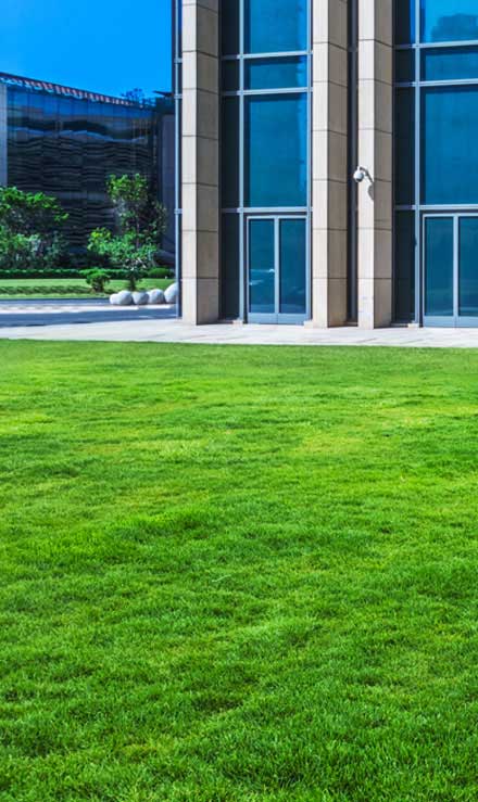 Bama's Landscaping LLC Commercial Aeration