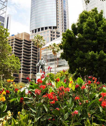 Bama's Landscaping LLC Commercial Garden Design