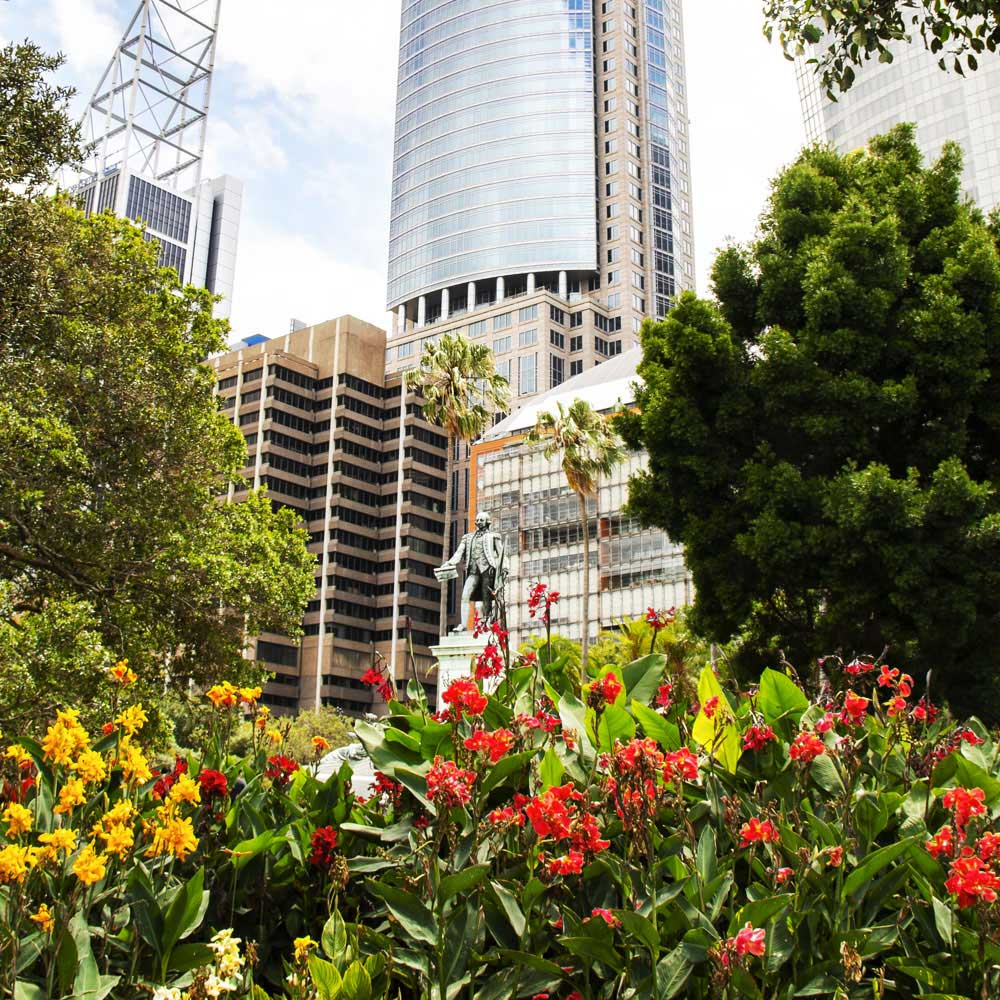 Commercial Garden Design Service