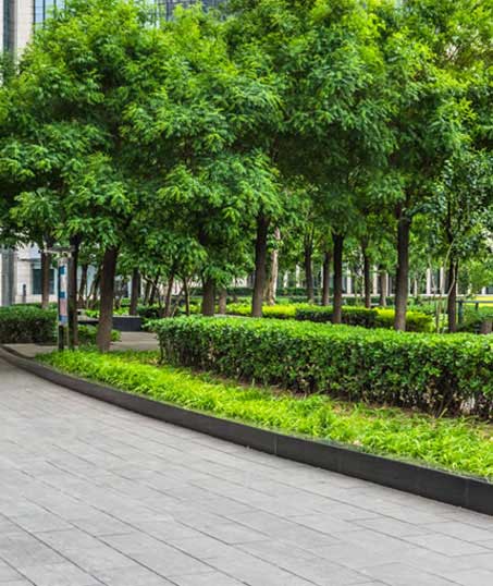 Bama's Landscaping LLC Commercial Grounds Maintenance