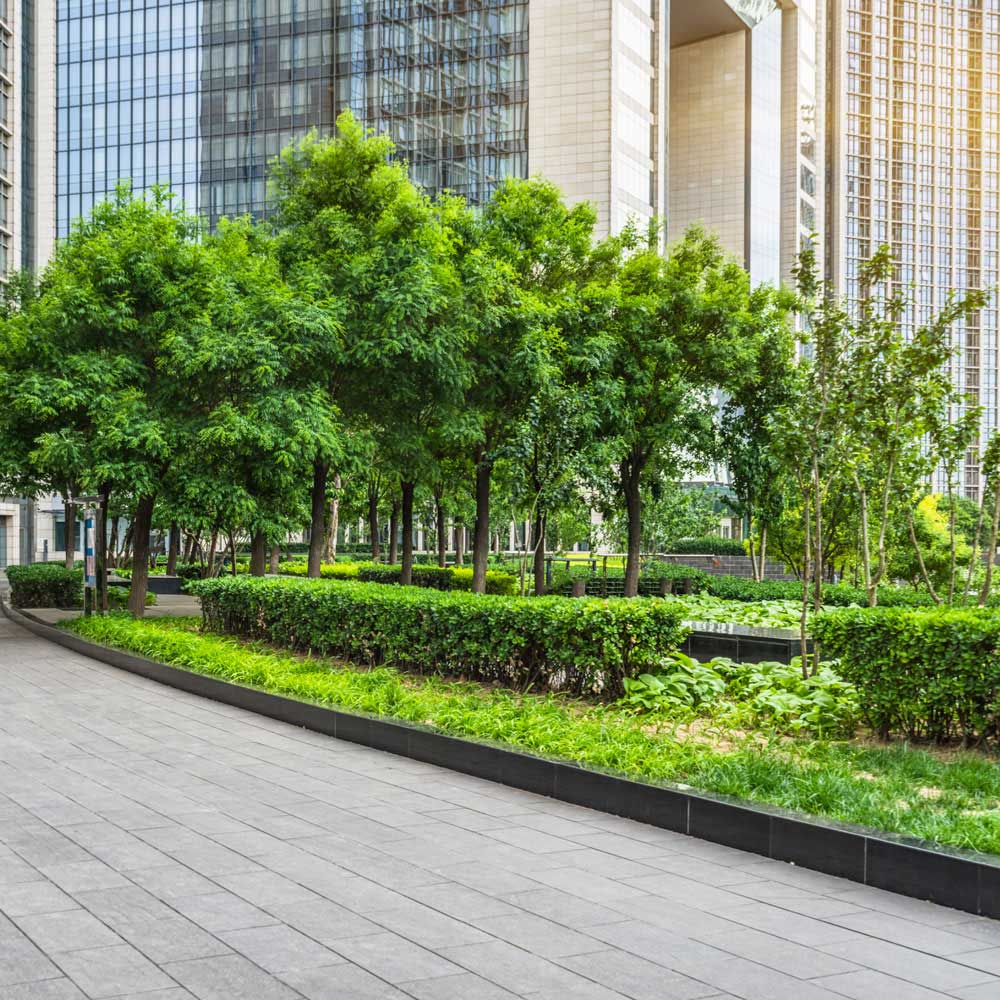 Commercial Grounds Maintenance Service