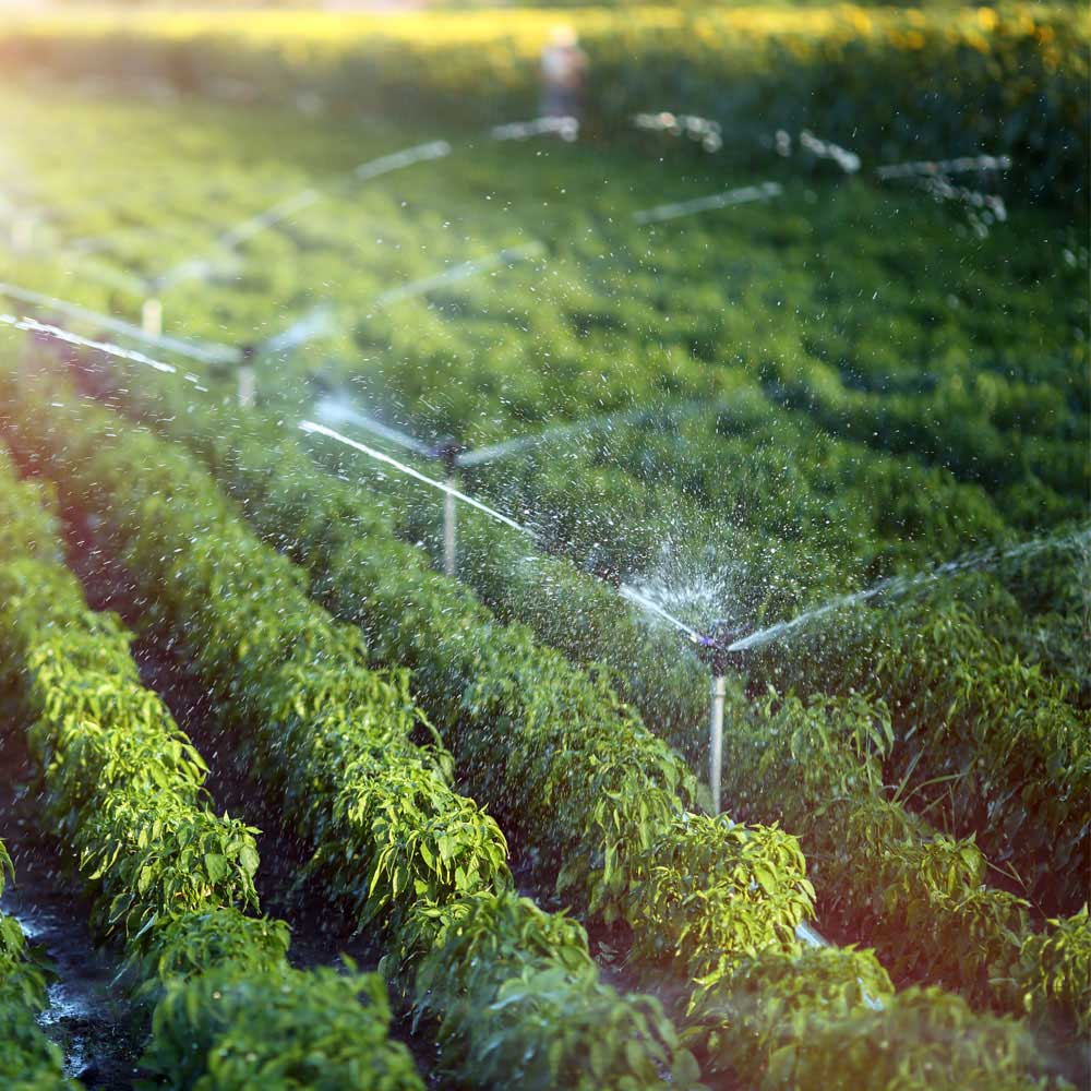 Irrigation System Repair Service