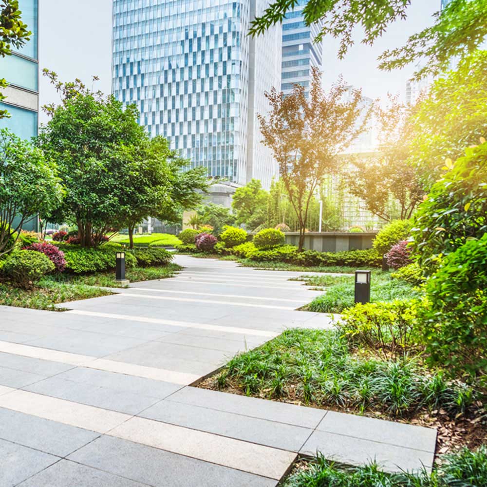 Commercial Landscaping Service