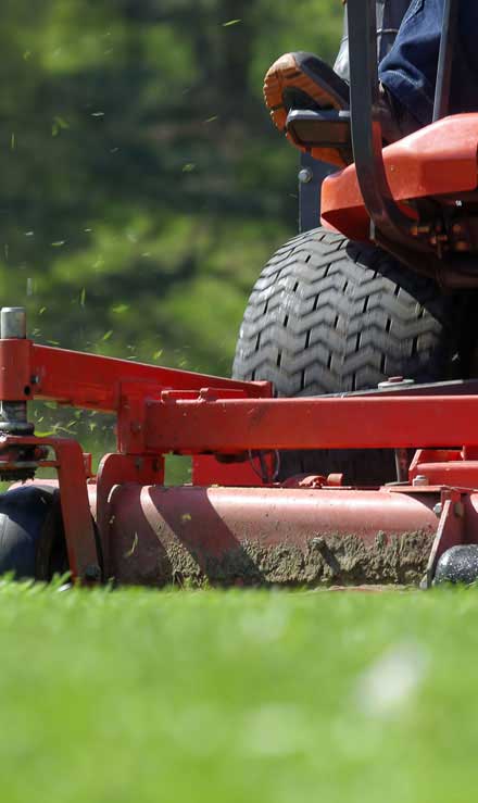 Bama's Landscaping LLC Commercial Lawn Mowing