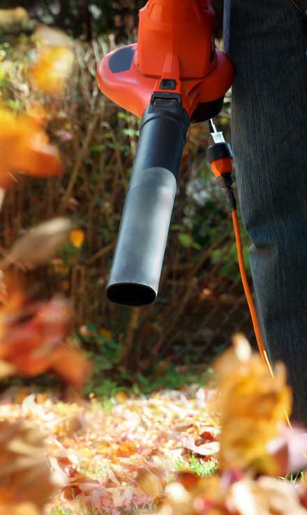 Bama's Landscaping LLC Commercial Leaf Removal