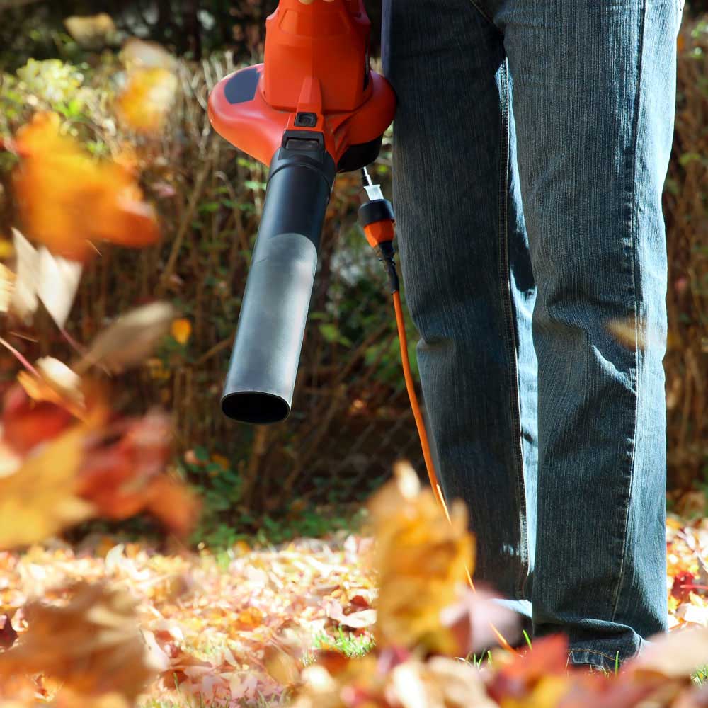 Leaf Removal Service