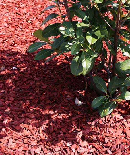 Bama's Landscaping LLC Commercial Mulching