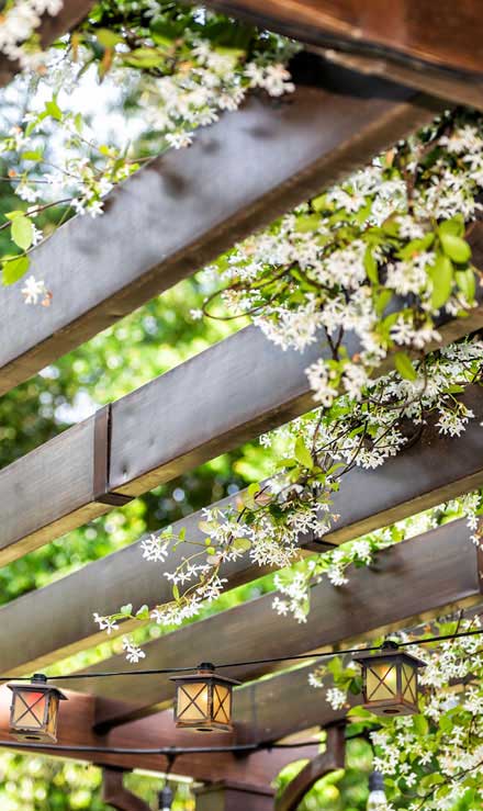 Bama's Landscaping LLC Pergola