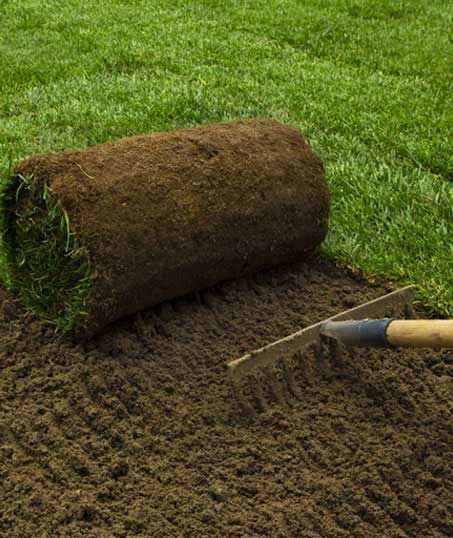 Bama's Landscaping LLC Commercial Sod Installation