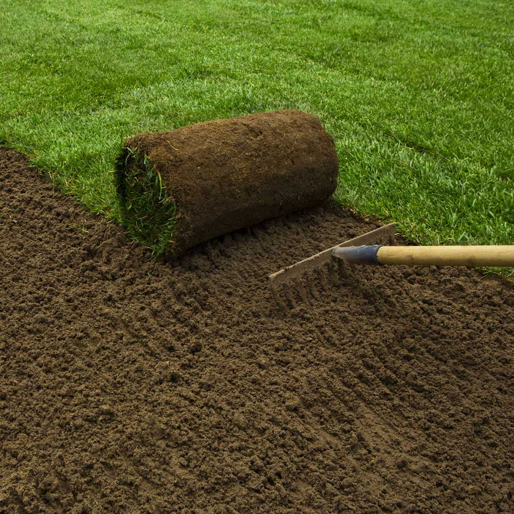 Sod Installation Service