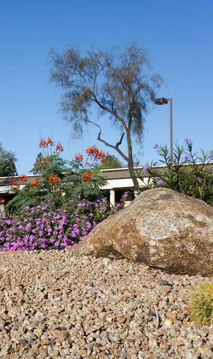 Bama's Landscaping LLC Commercial Xeriscaping